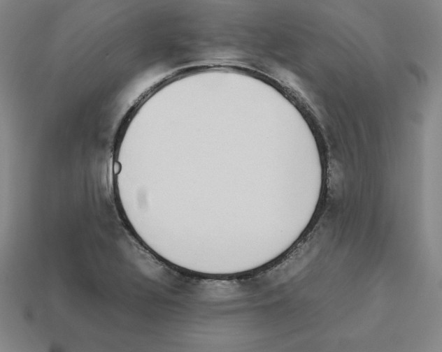 X0000112871320200910021324