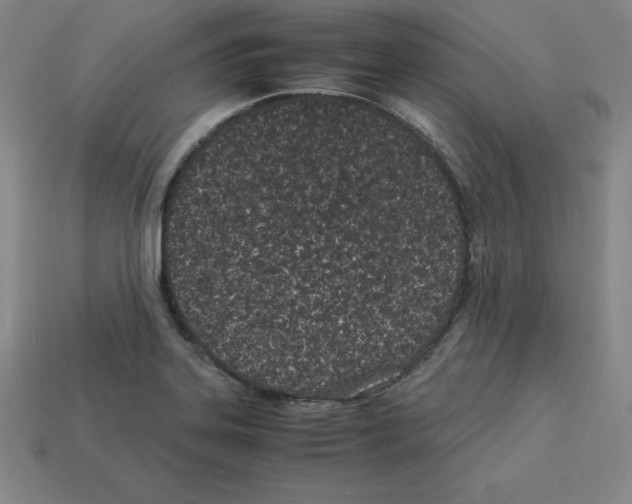 X0000112871323200910021324