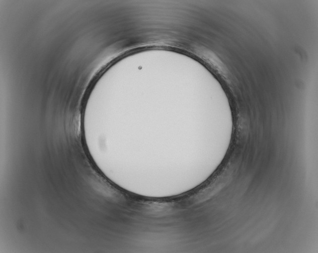 X0000112871324200910021324