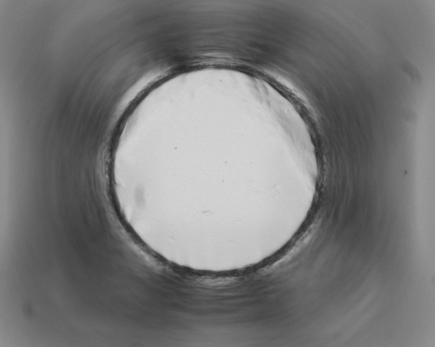 X0000112871325200910021324