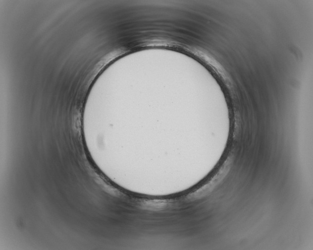 X0000112871329200910021324