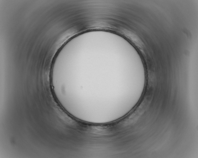 X0000112871330200910021324