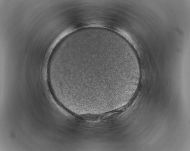 X0000112871331200910021324