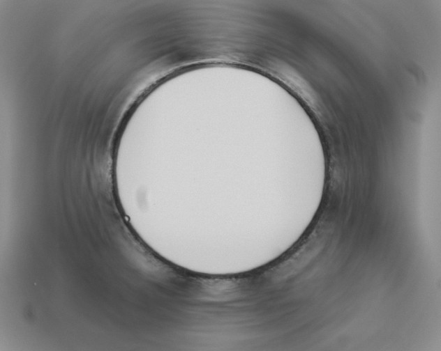 X0000112871332200910021324