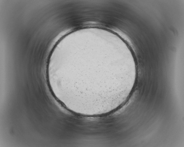 X0000112871333200910021324