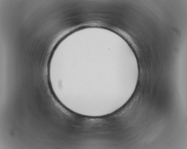 X0000112871335200910021324