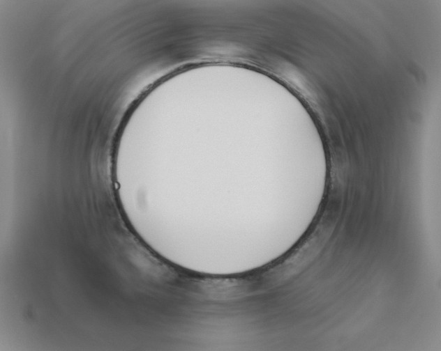 X0000112871336200910021324