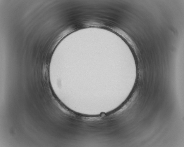 X0000112871337200910021324