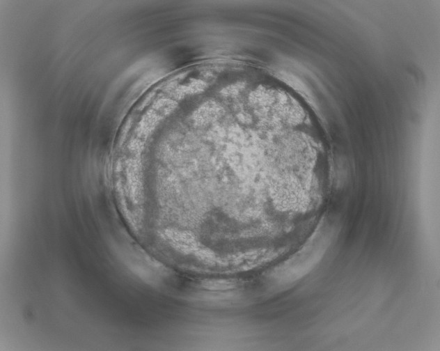 X0000112871338200910021324