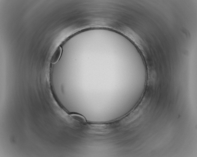 X0000112871342200910021324