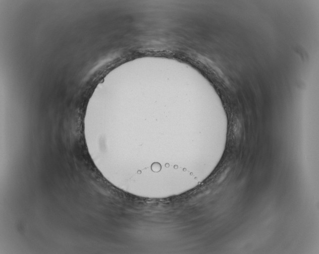 X0000112871350200910021324