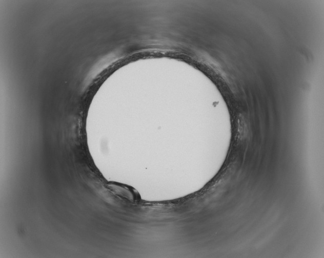 X0000112871352200910021324