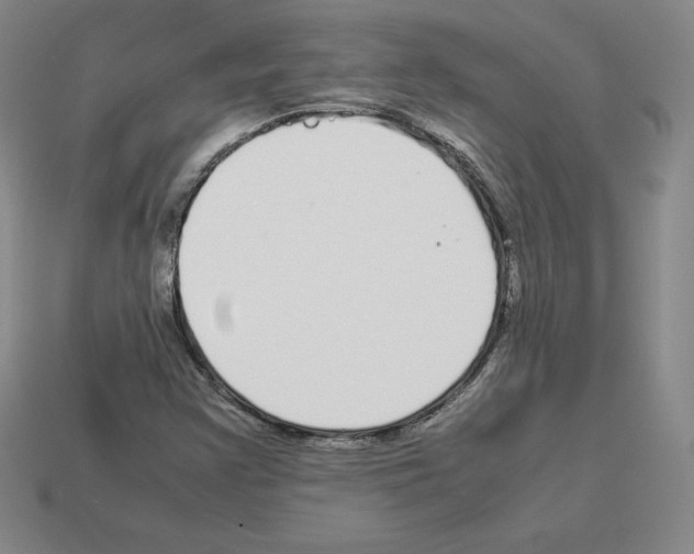 X0000112871355200910021324