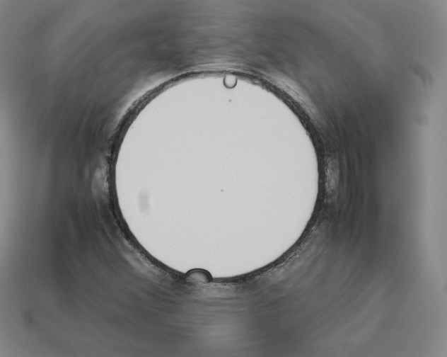 X0000112871356200910021324