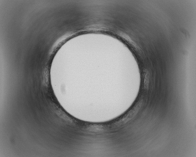 X0000112871358200910021324