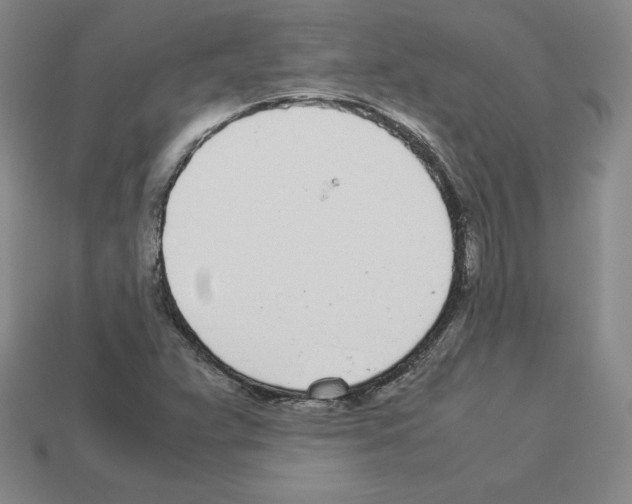 X0000112871359200910021324