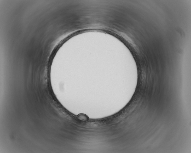 X0000112871364200910021324