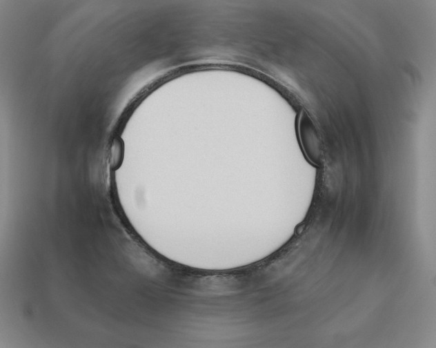 X0000112871368200910021324