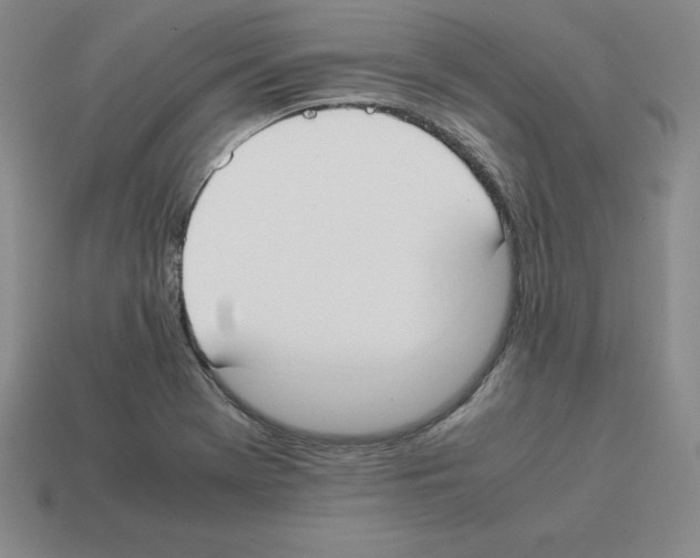 X0000112871369200910021324