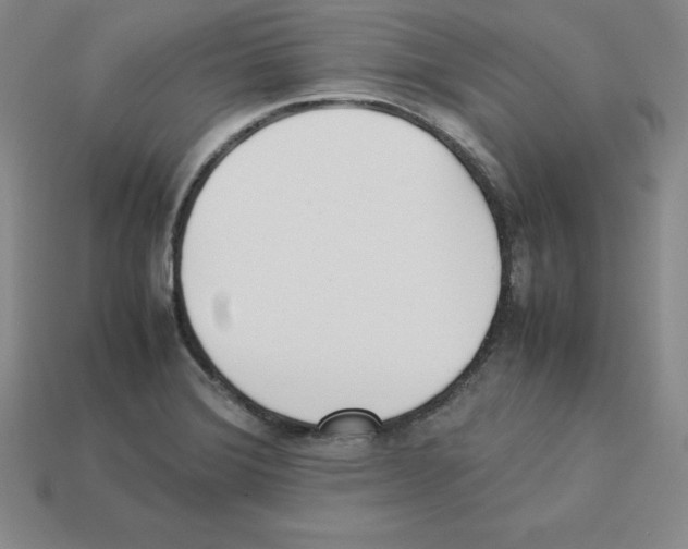 X0000112871372200910021323