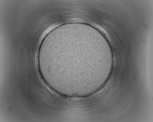 X0000112871373200910021323