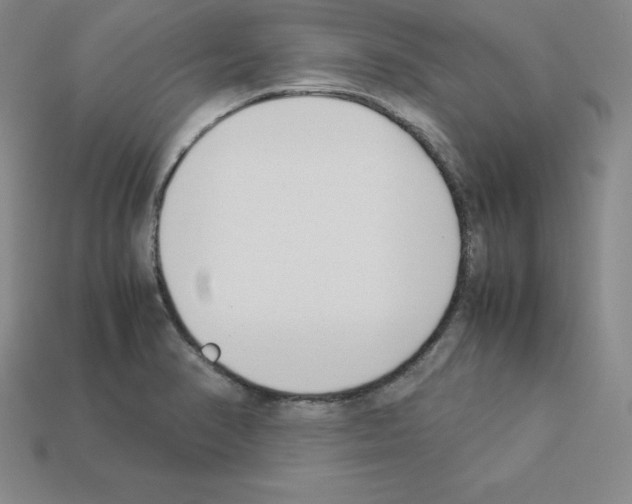 X0000112871374200910021323