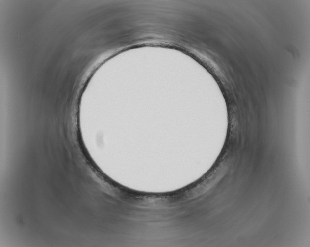 X0000112871375200910021323