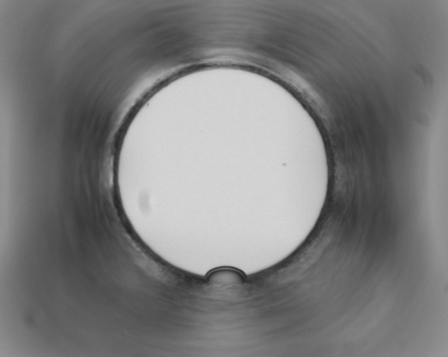 X0000112871376200910021323