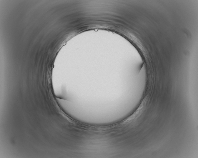 X0000112871377200910021323