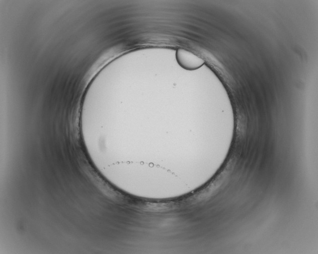 X0000112871378200910021323