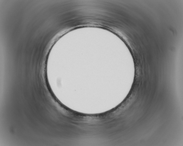 X0000112871379200910021323