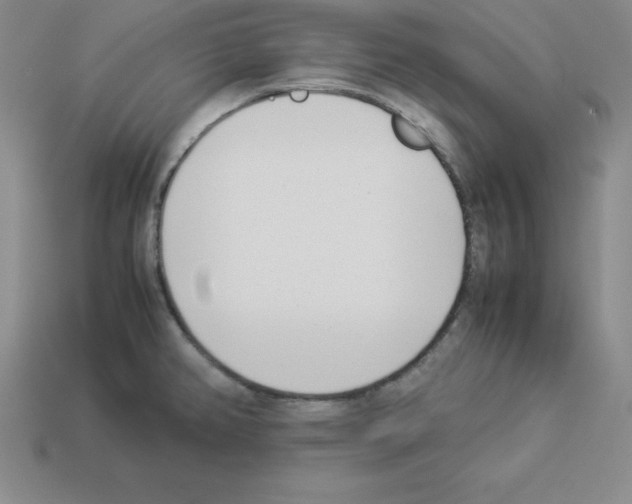 X0000112871382200910021323