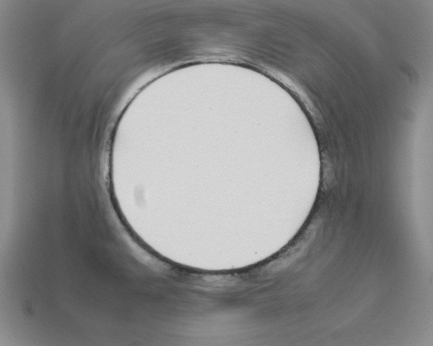 X0000112871383200910021323