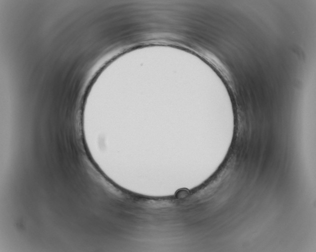 X0000112871384200910021323