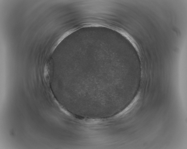 X0000112871385200910021323