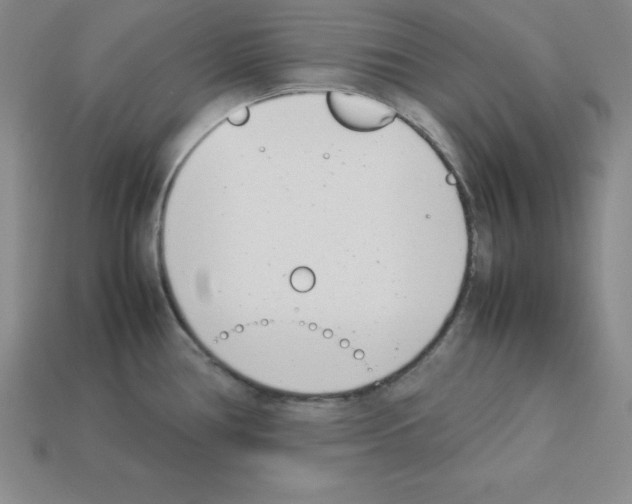 X0000112871386200910021323