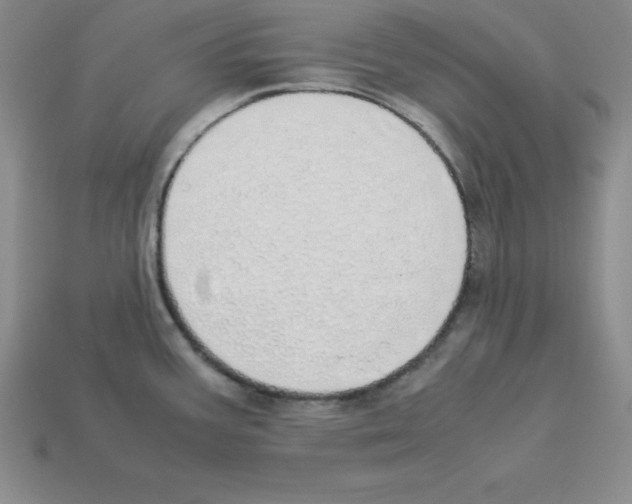 X0000112871387200910021323