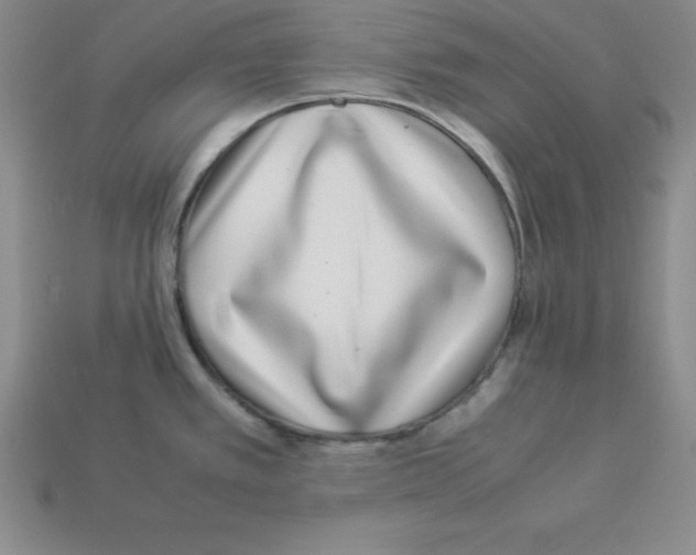 X0000112871389200910021323