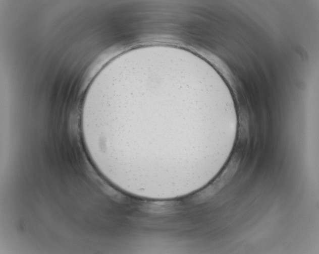 X0000112871390200910021323