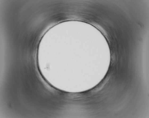 X0000112871391200910021323