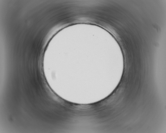 X0000112871392200910021323