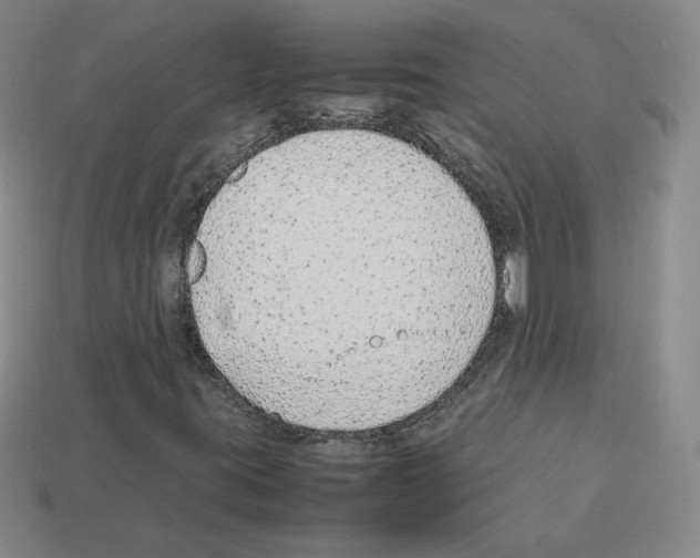 X0000112871395200910021323