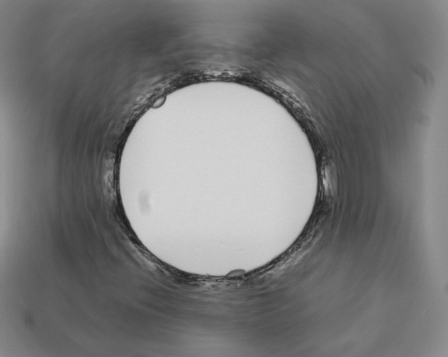 X0000112871396200910021323