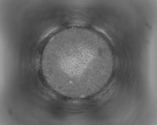 X0000112871399200910021323