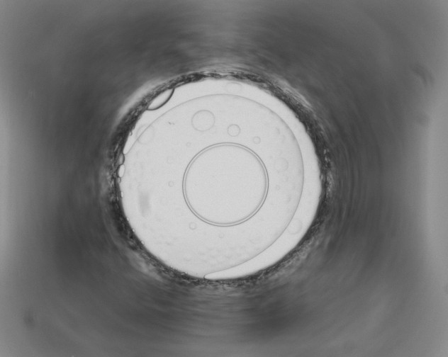 X0000112871400200910021323