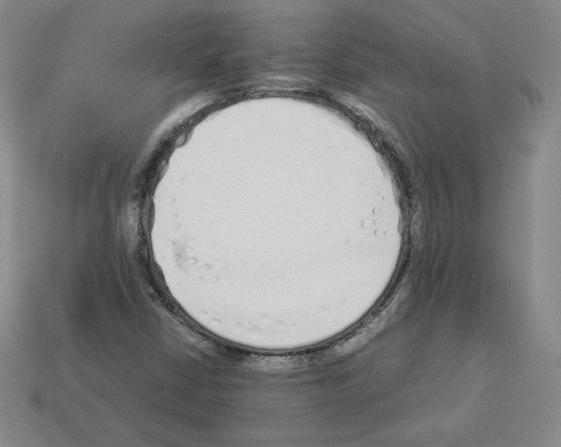 X0000112871402200910021323