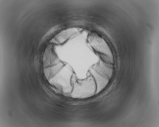 X0000112871403200910021323