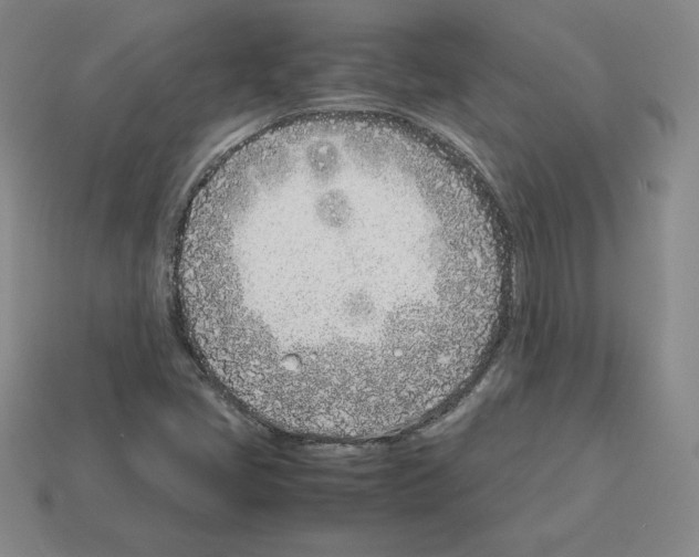 X0000112871405200910021323