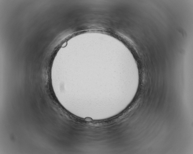 X0000112871407200910021323