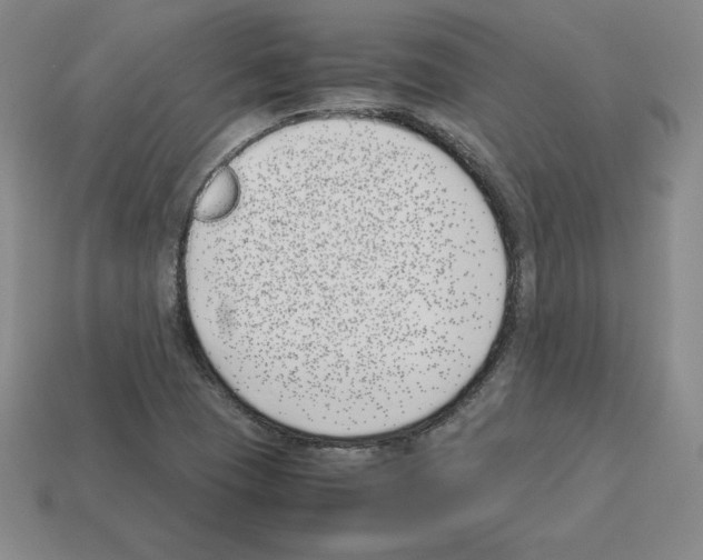 X0000112871409200910021323